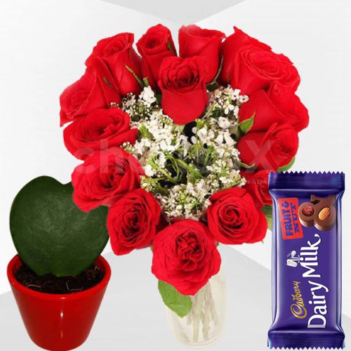 Delightful Combo of Heart Shape Red Roses Cadbury Chocolate N Hoya Heart Plant