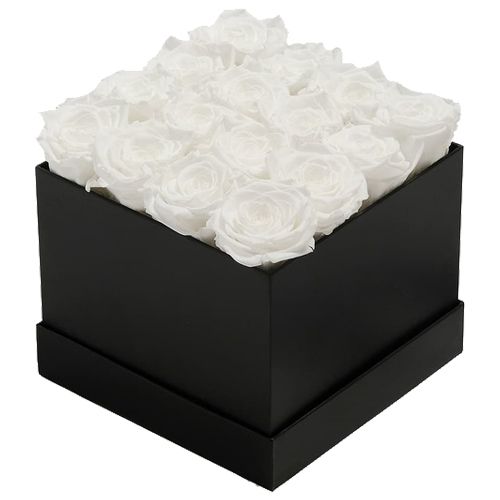 Oh So White Roses Bunch in Black Box
