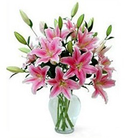 Ravishing Oriental Pink Lilies in Vase