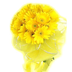 Bright Yellow Gerberas Bouquet
