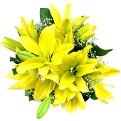 Lovely Yellow Lilies Bouquet for Anniversary
