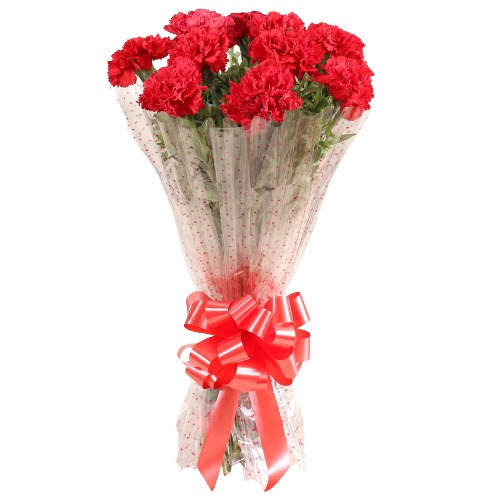 Attractive Bouquet of Red Carnations