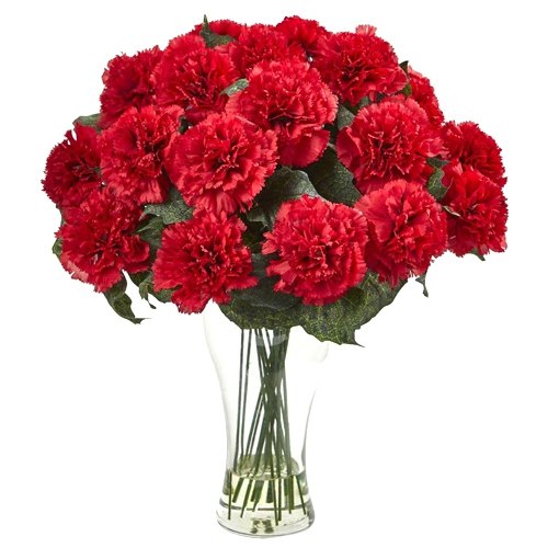 Ravishing Red Carnations in Glass Vase