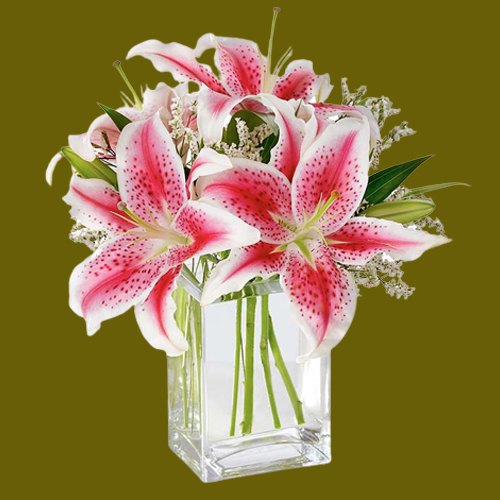Special display of Pink Lilies in Glass Vase