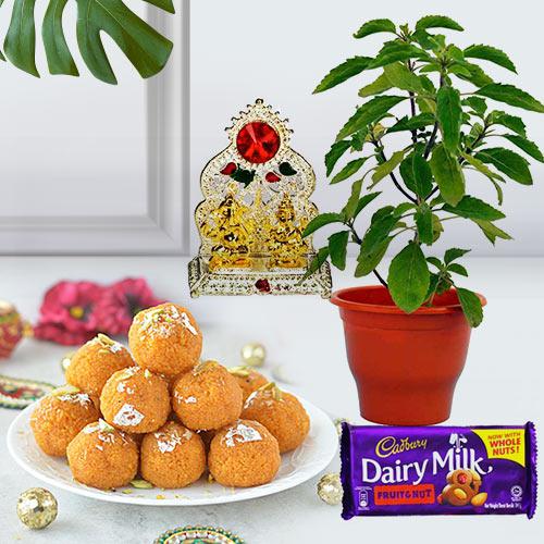 Festive Holy Tulsi Plant N Puja Gift Combo