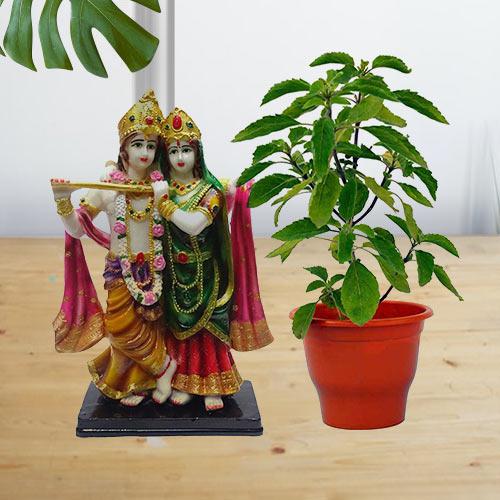 Good Luck Present of Holy Tulsi Plant N Radha Krishna Idol