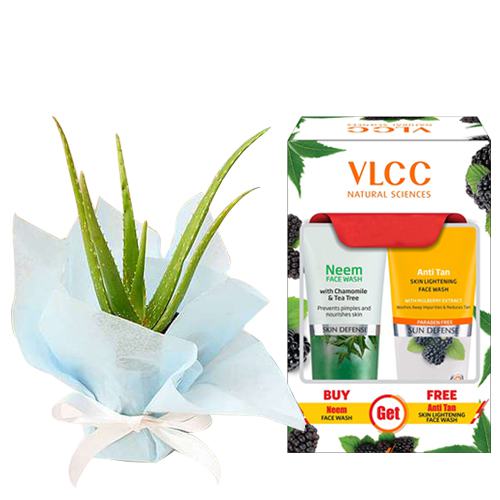 Gift Wrapped Aloe Vera Plant with Face Wash Set