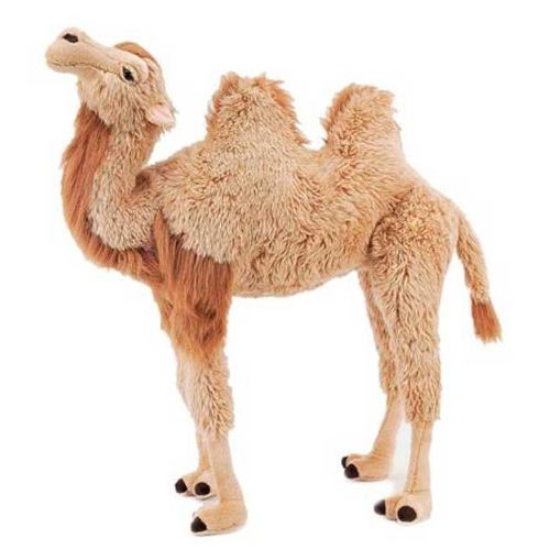 Attractive Standing Camel Soft Toy